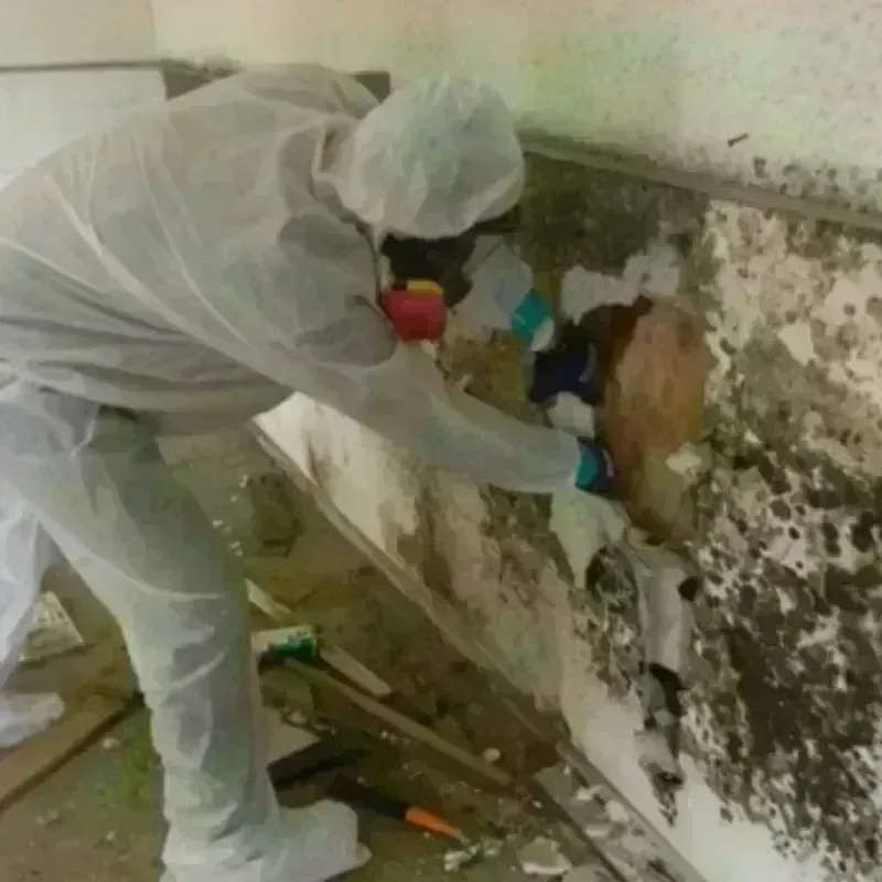 Mold Remediation and Removal in Windham County, VT